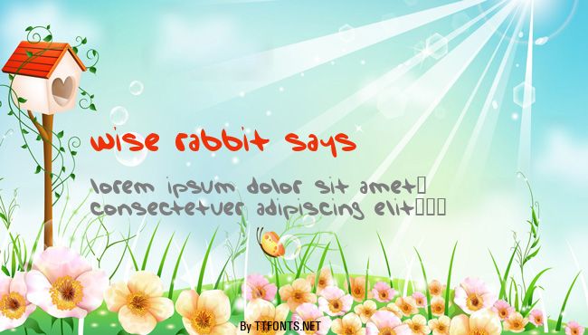 Wise Rabbit Says example